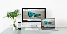 Website Công ty Cổ phần Y Dược YO SANA